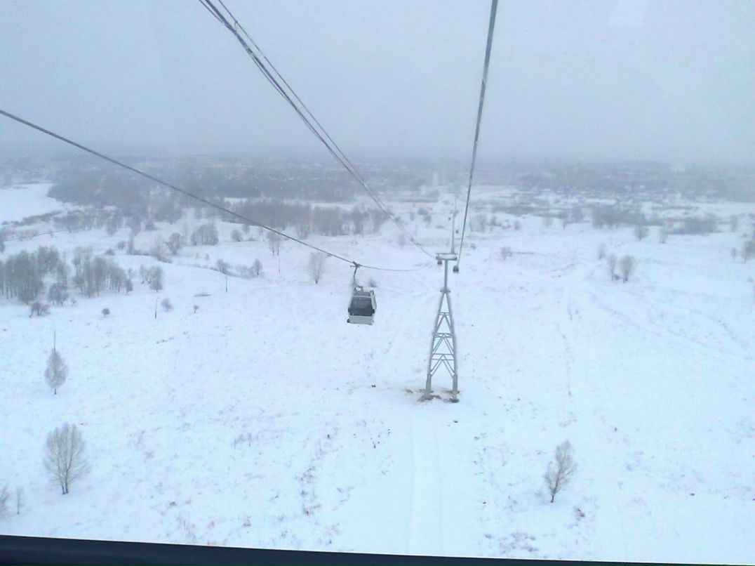 Евгения Белова | Бор