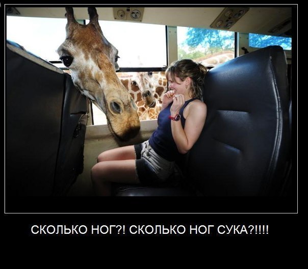 Виталя Чудак | Кривой Рог