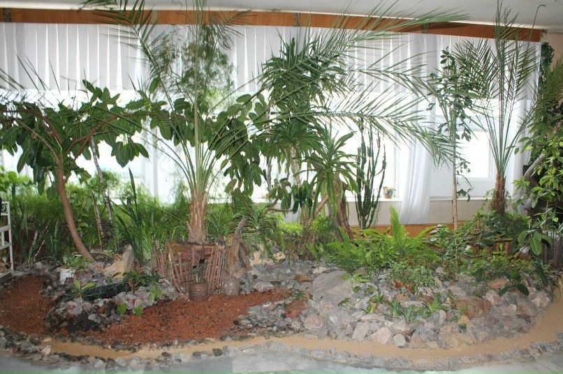 Сергей Елизаров | Брянск