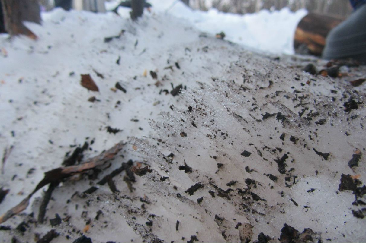 Арсений Петрик | Харьков