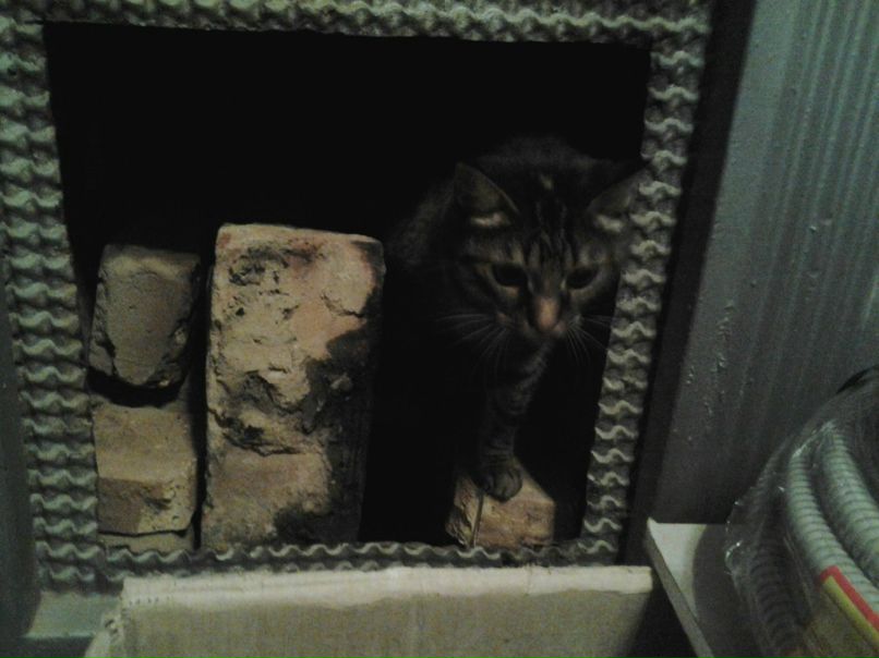 Юлия Рейнике | Санкт-Петербург