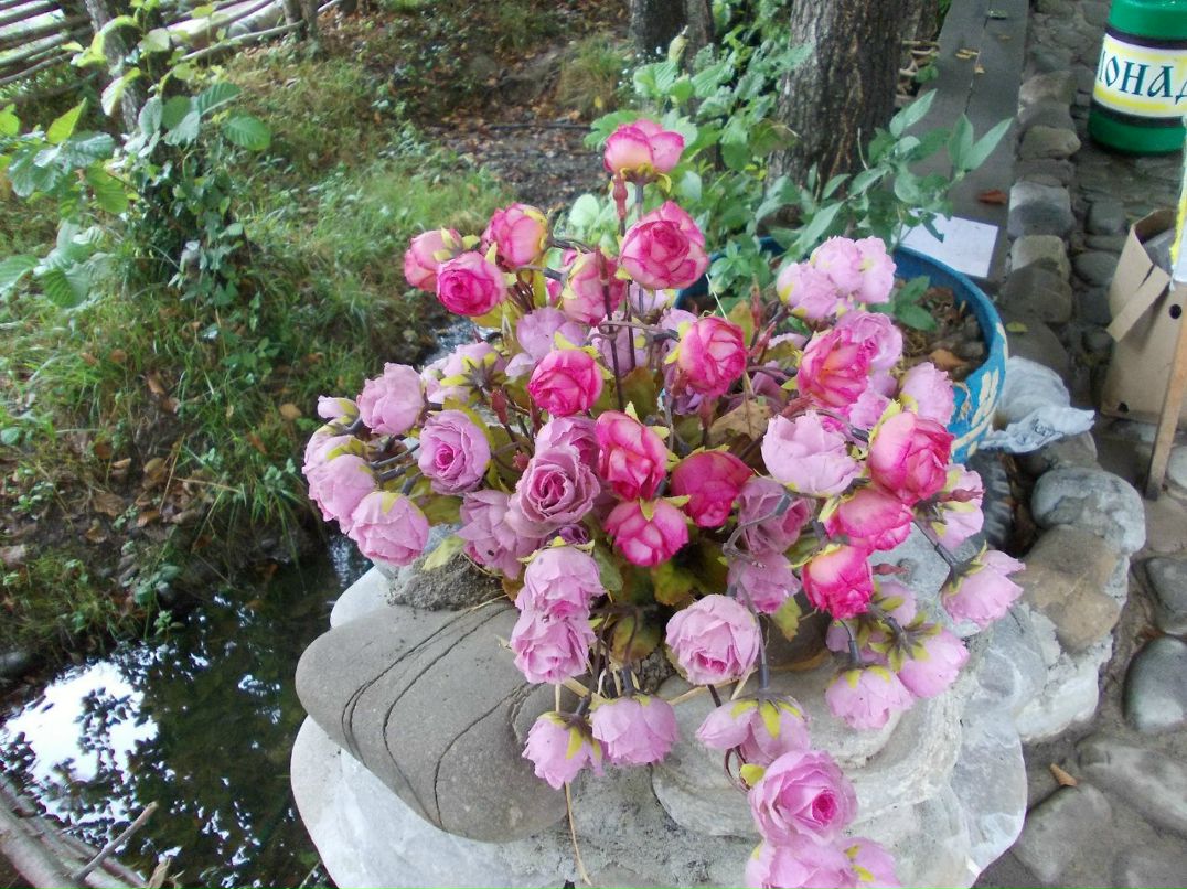 Дима Кондратьев | Пермь