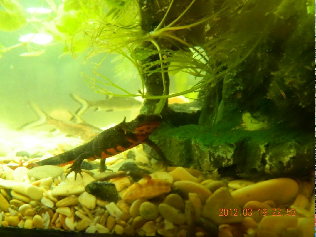 Алексей Калинин | Санкт-Петербург