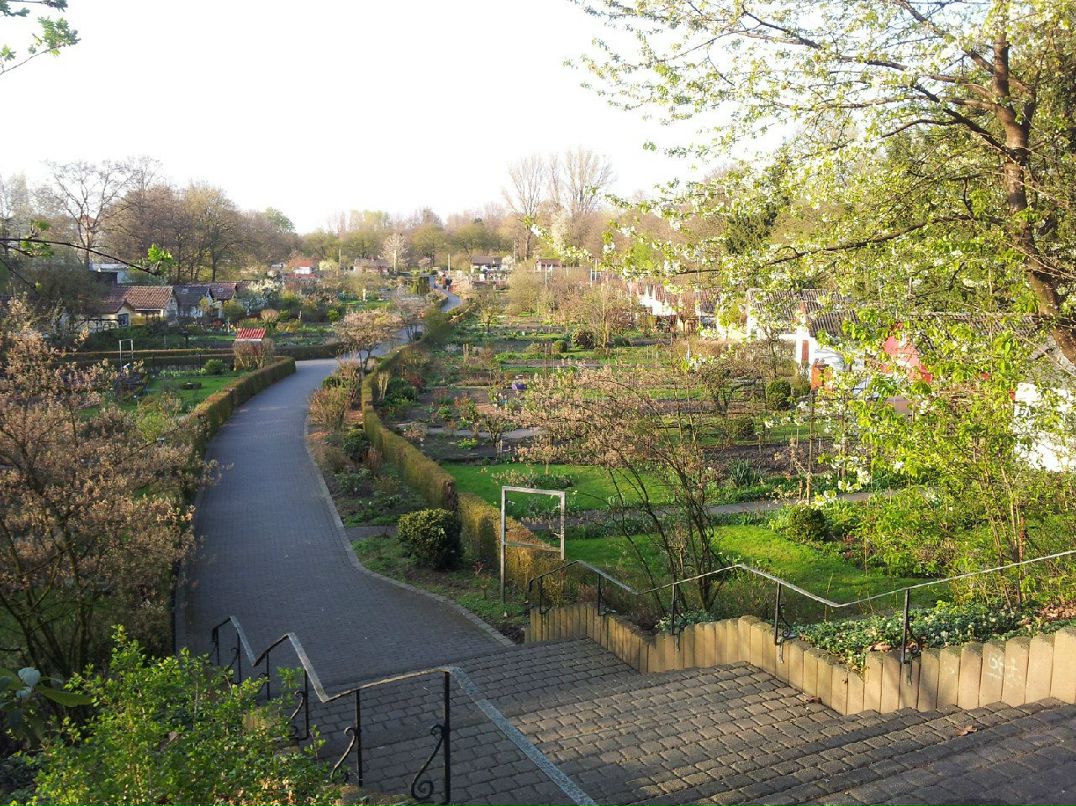 Артем Федосенков | 