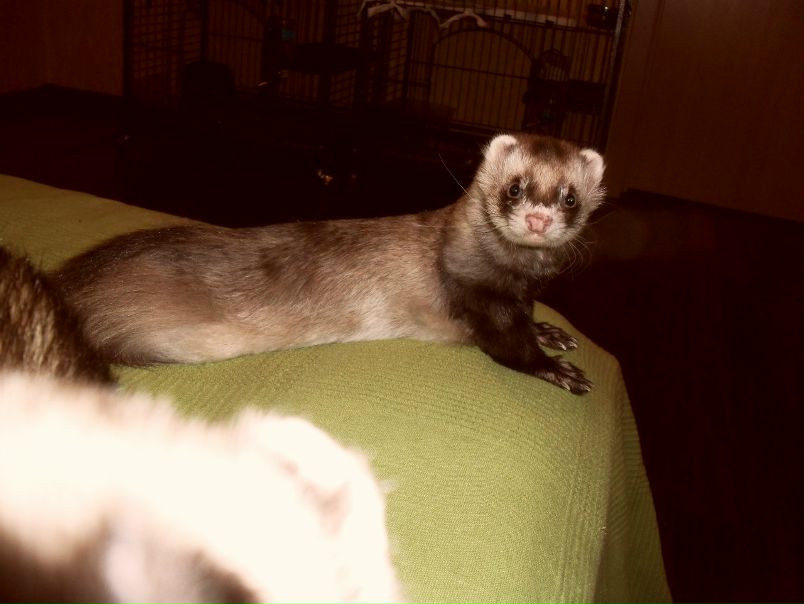 №20, Татьяна Фатеева, 46 лет, Москва №20, Татьяна Фатеева, 46 лет, Москва