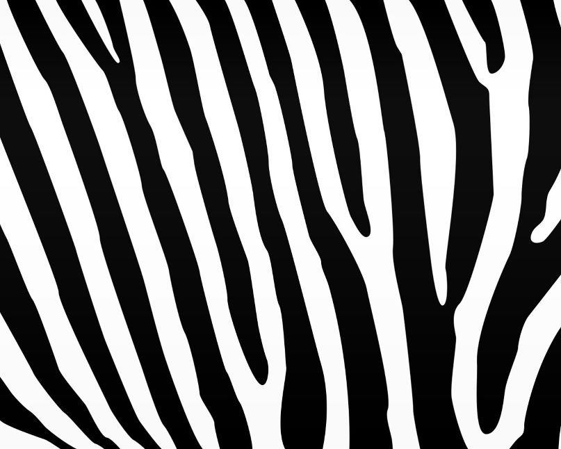 Родион Свистун | Киев