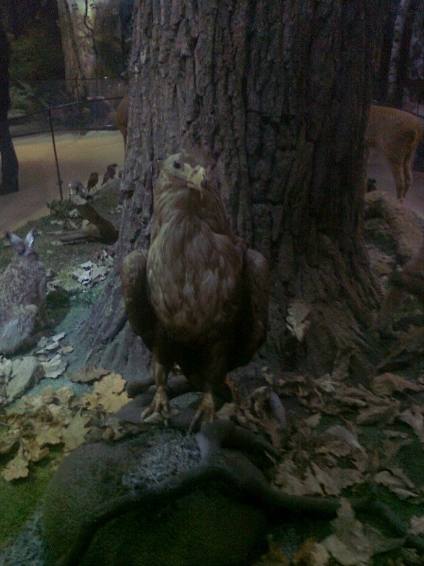 Валентина Носова ><A l e4k@>< | Медвежьегорск