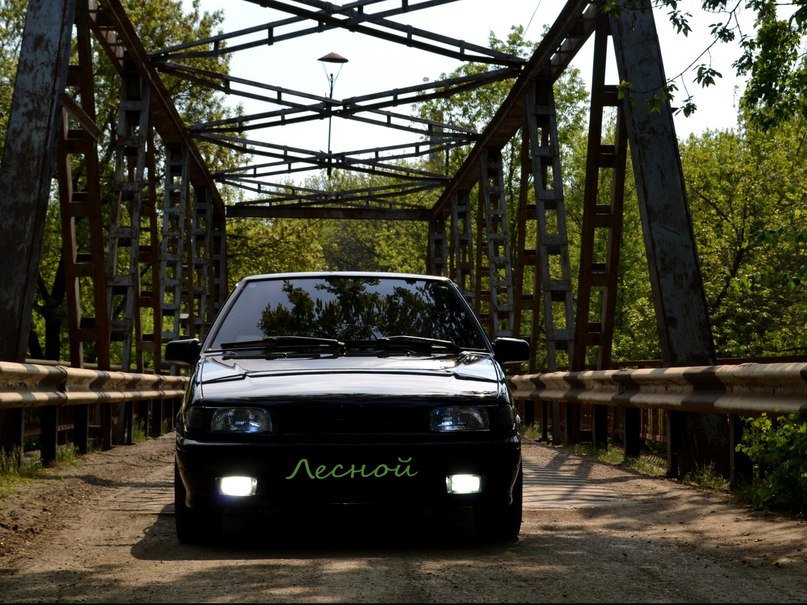 Александр Соколов | Лесной