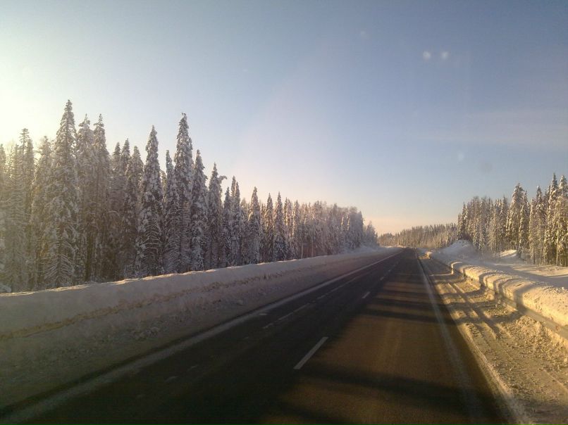 Дэн Соловей | Санкт-Петербург