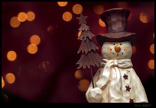 №44, Анна Шенел, Санкт-Петербург №44, Анна Шенел, Санкт-Петербург