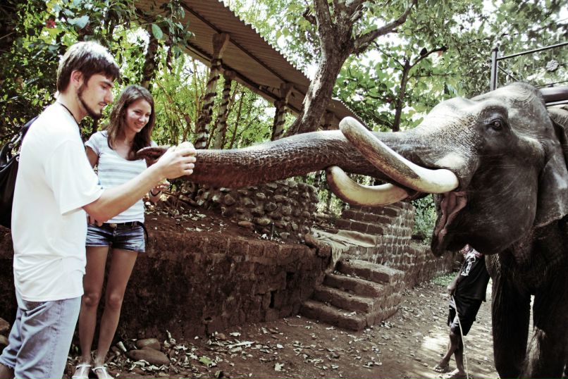 Александр Герцуский | Харьков