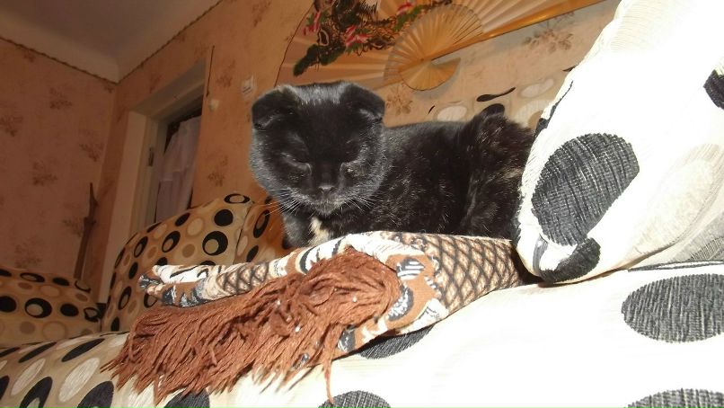 Вася Сазонов Серегович | 