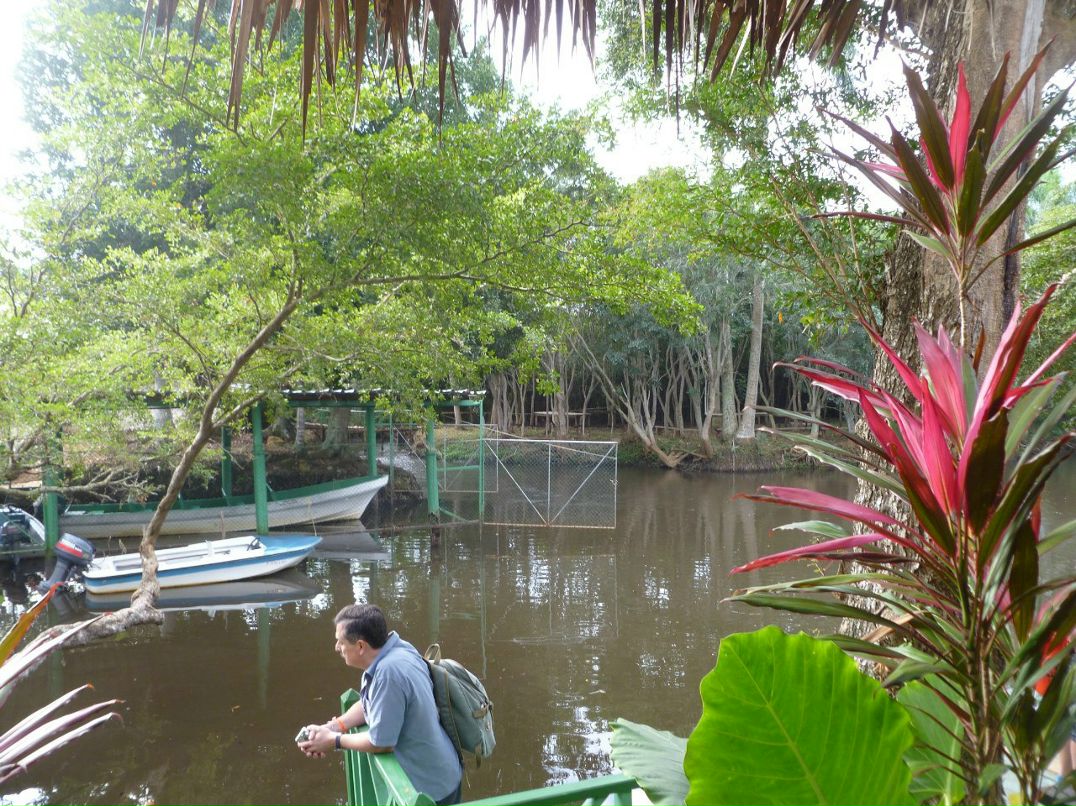 Инна Гладченко | Washington, D.C.