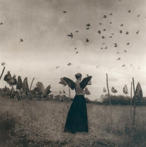 Jamaica Jamaica | Киев