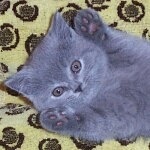 №98, Михаил Мирошников, 43 года №98, Михаил Мирошников, 43 года