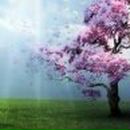 Lubov Puzanova ♥♥♥ | Дальнее Константиново