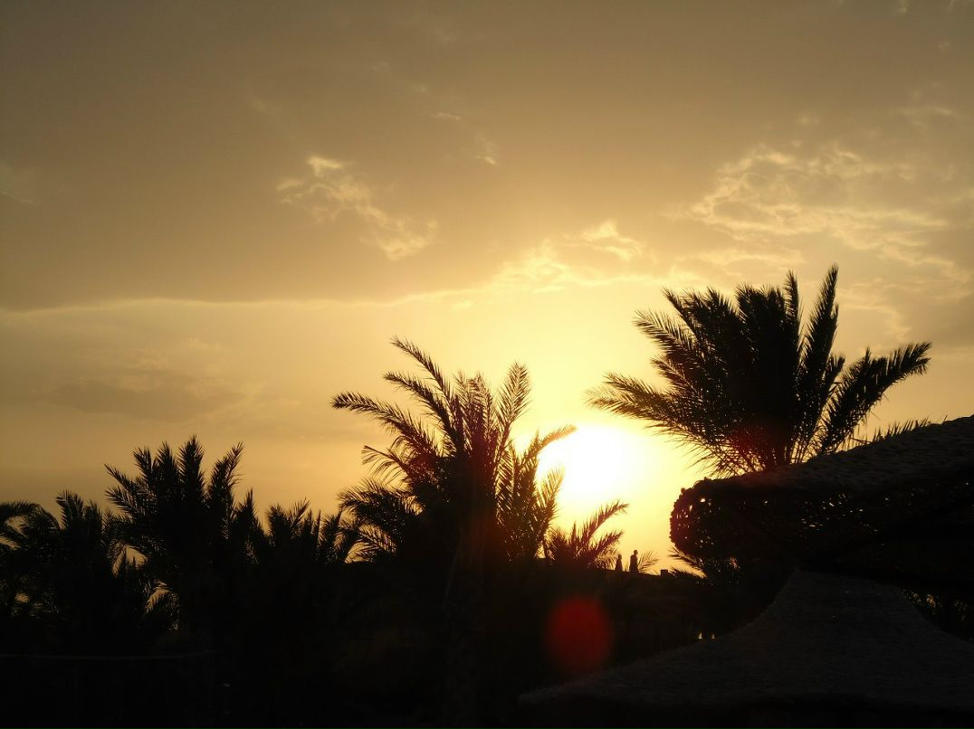 Маришка Маришка | Москва