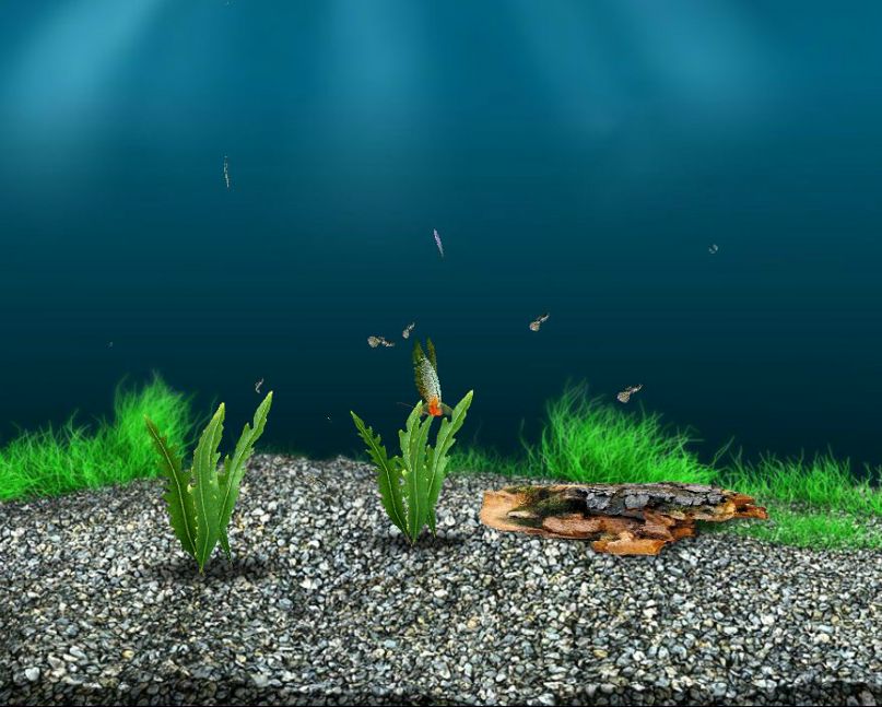 Ян Козловский ˜”*°•. ДОНЕЦК .•°*”˜ | Донецк