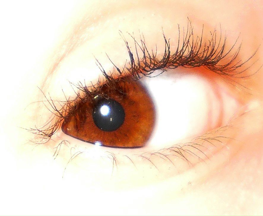 Альбина Мамаева-Чуднова | Москва