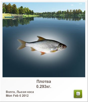 Дима Алфёров | Сыктывкар