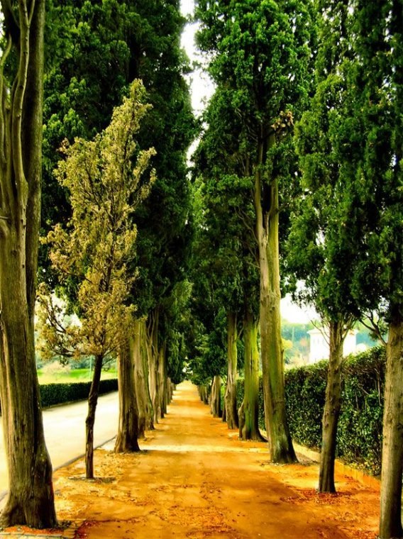 Олечка Малышка | Киев