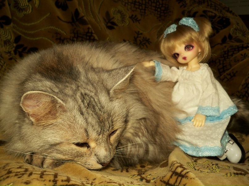 Таша Мазур N.Lupin | 