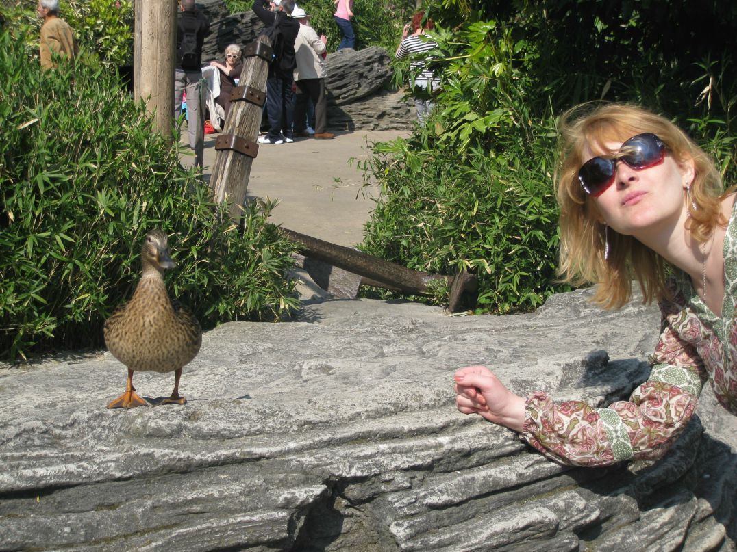 Светлана Ляшенко | Чернигов