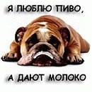 Антон Оковитый | Москва