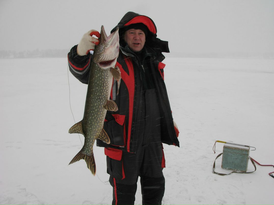 Валерий Иванов | Санкт-Петербург