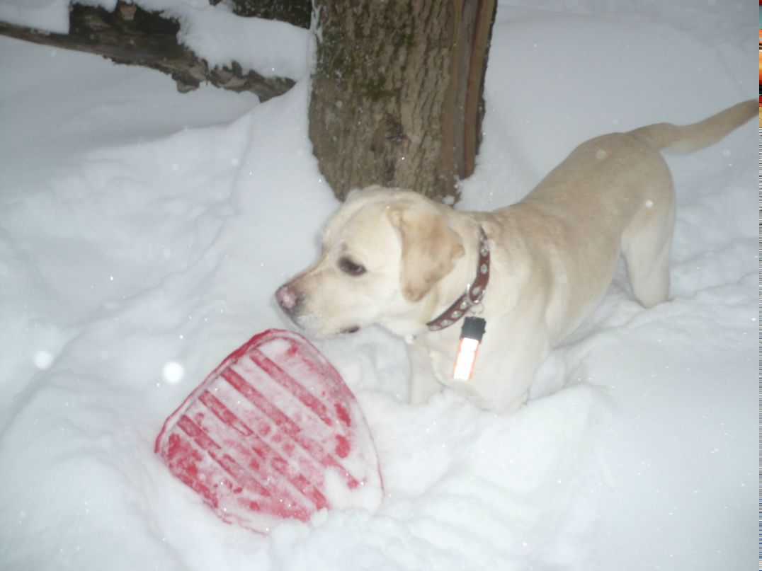 Максим Дубасов | Москва