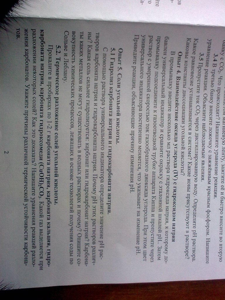 Мария Мишина | Ростов-на-Дону