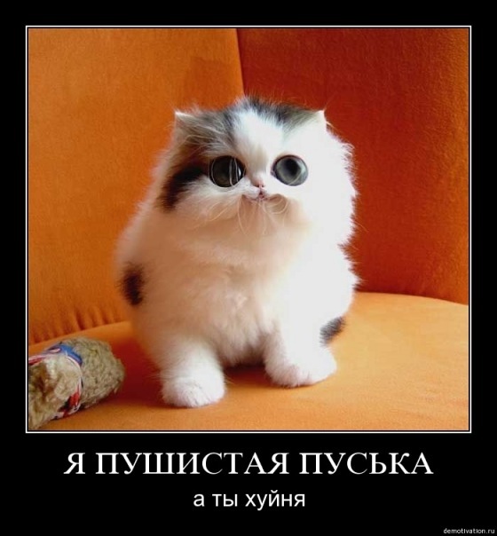 №87, Влад Аминев, 32 года, Томск №87, Влад Аминев, 32 года, Томск