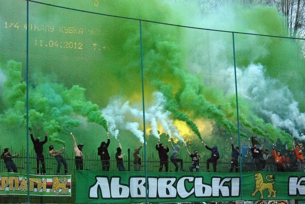 Мішка Артишко | Львов