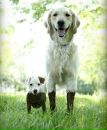 Фотография Бендер Бендинг Родригес