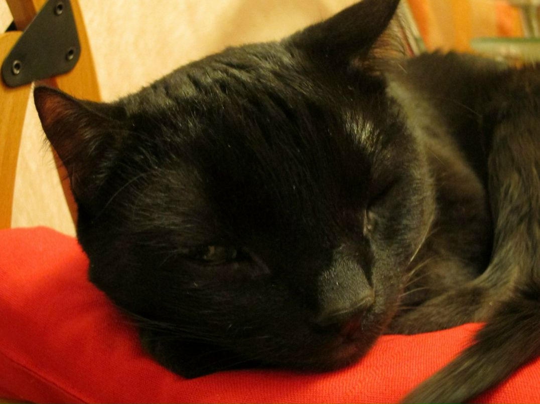 Таня Сергеева | Москва