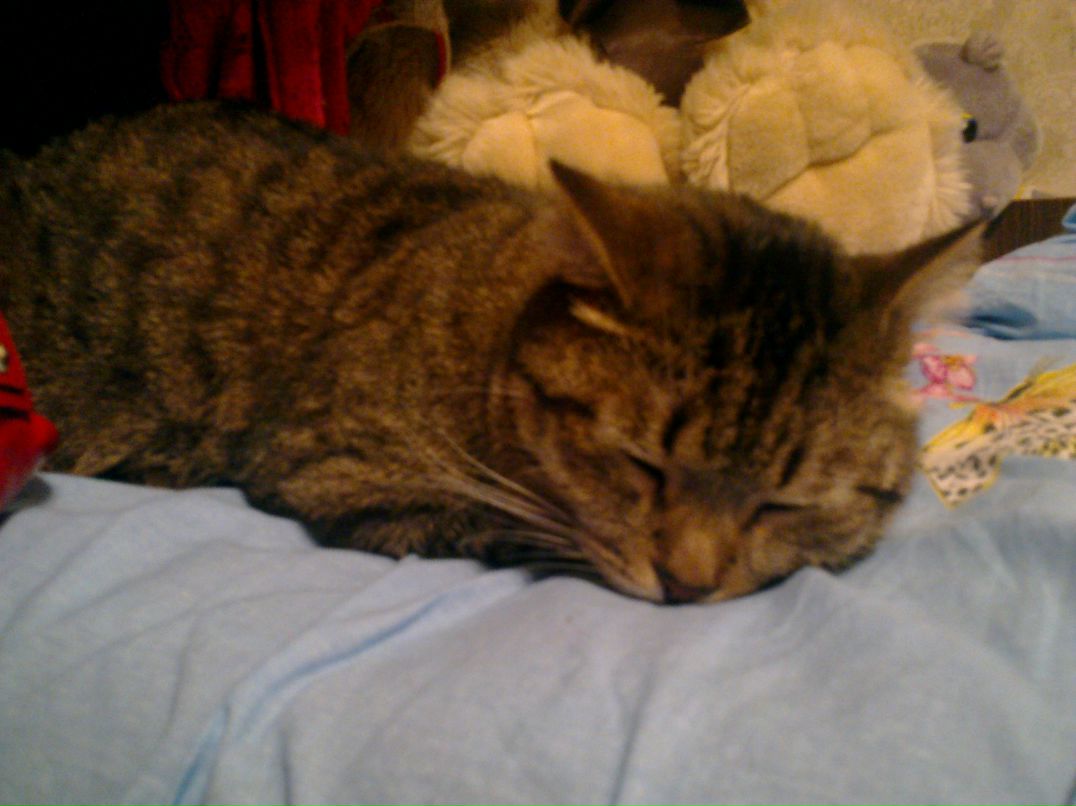 Лелька Яковлева | Москва