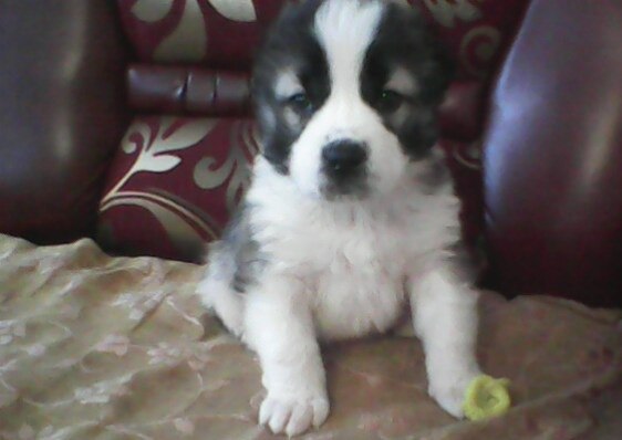 Лилия Хисамова | Казань