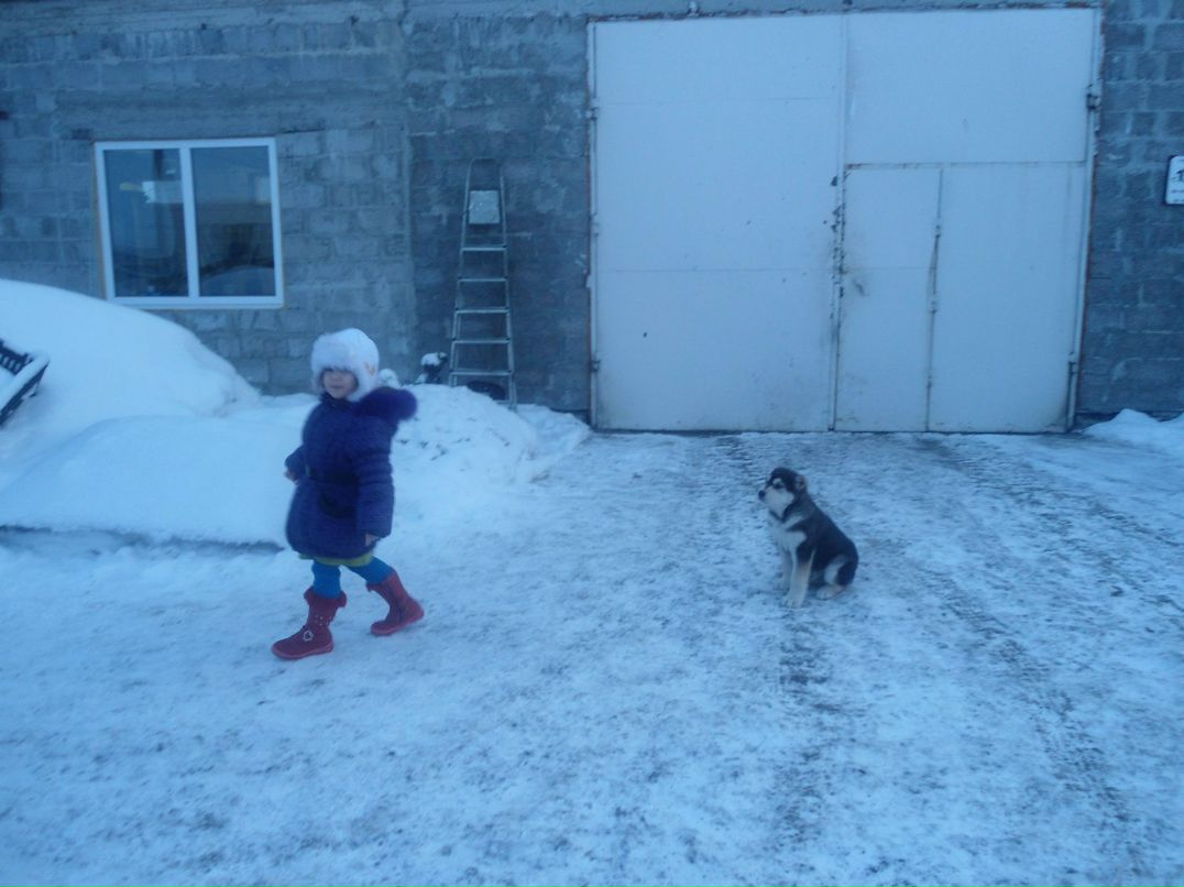 Arshak Manukyan | Тюмень