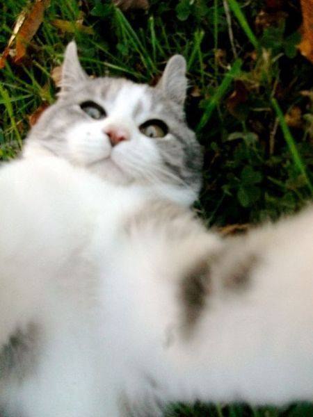 Алла Подбережная | Томск