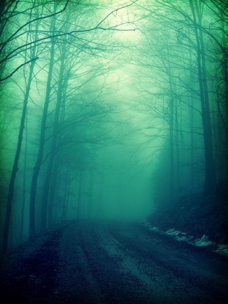 Святослав Безпальчук | Житомир