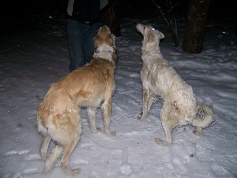 Дениска Борисов | Екатеринбург