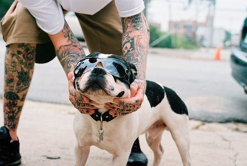 Катрин Елова | 