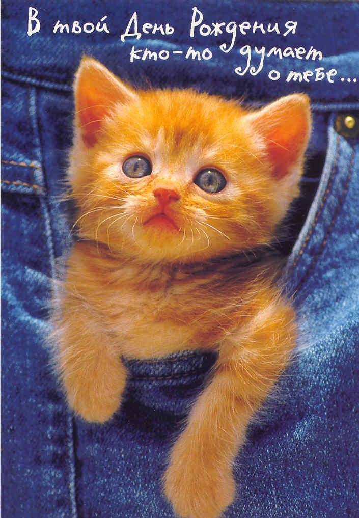 Алёна Дементьева | Краснотурьинск