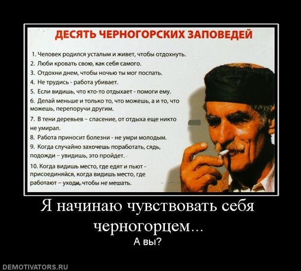 Андрей Толстов | 