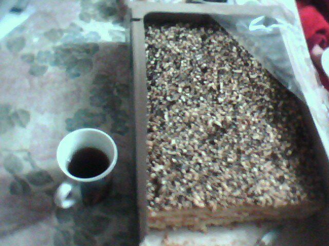 №136, Ленусик Кононикина, 35 лет, Харьков №136, Ленусик Кононикина, 35 лет, Харьков