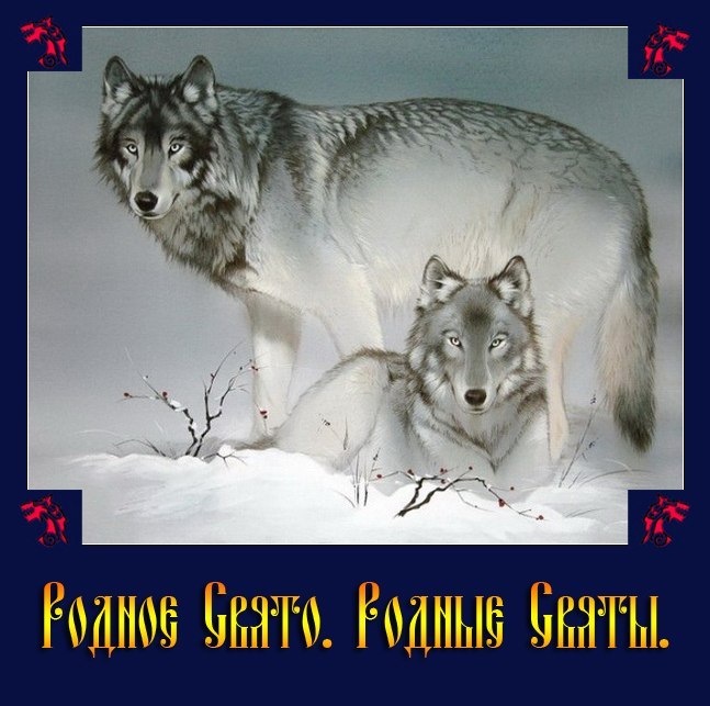 White Wolf | Москва