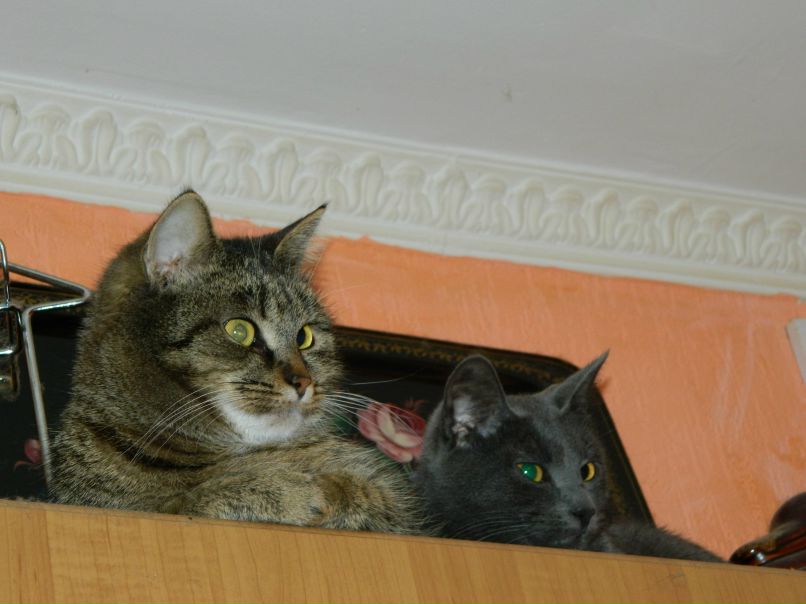 Светлана Безносикова | Москва