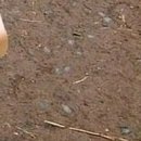 №152, Анжела Жужа, Евпатория №152, Анжела Жужа, Евпатория