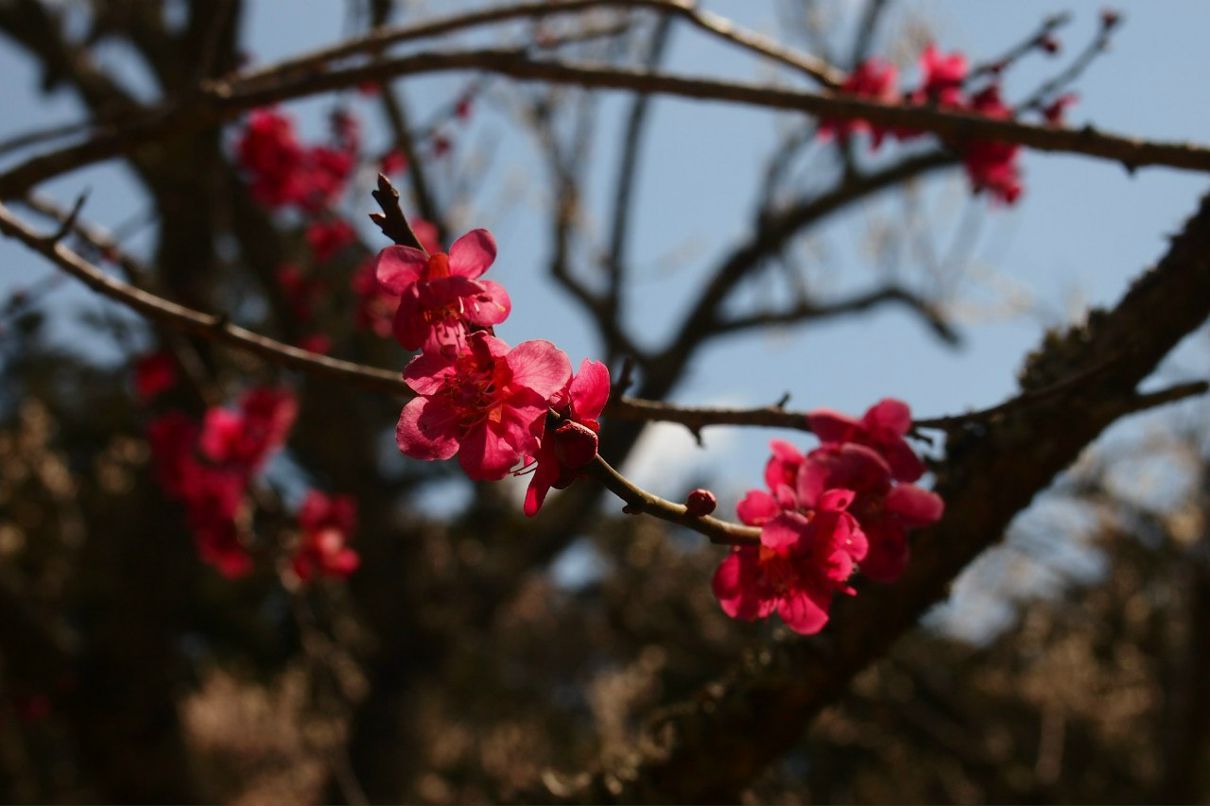 Аня Жаркова | Москва