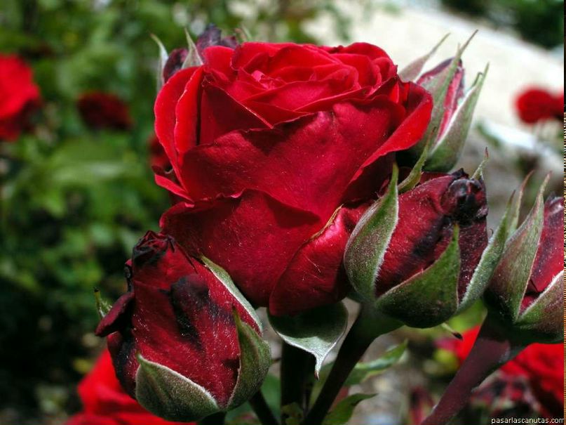 Людмила Людасик | Харьков